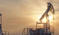 Goldman Sachs: OPEC, Allies Will Achieve Their Goal by April