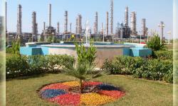Nouri plant breaks production record