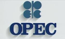 OPEC Output Drops Most in 2 Years
