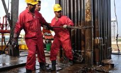 16 Wells Drilled in South Azadegan