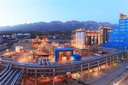 Petchem Plant Manufactures 120 Items Domestically