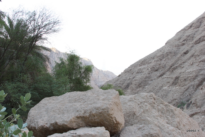 همایش کوهپیمایی