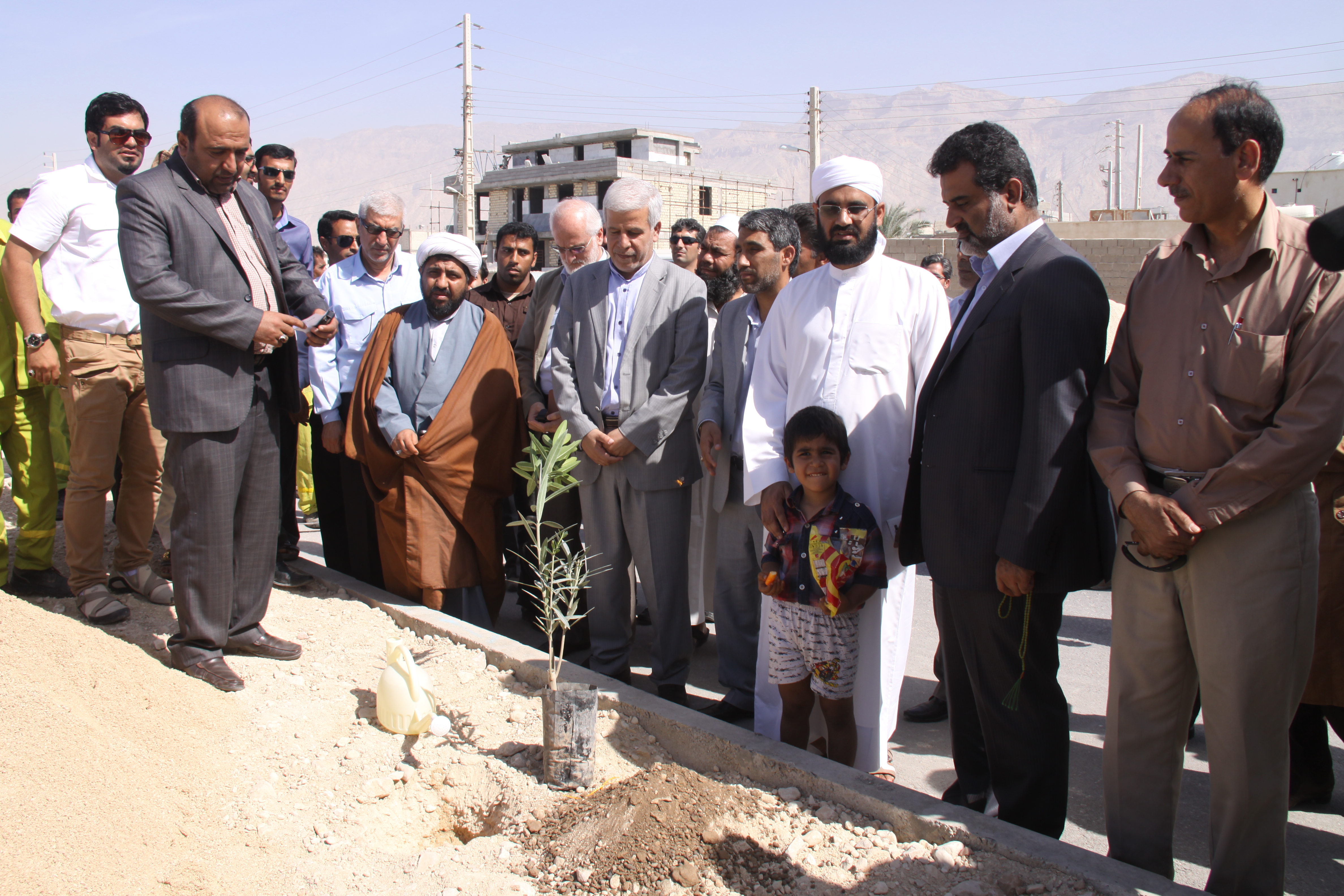 درختکاری