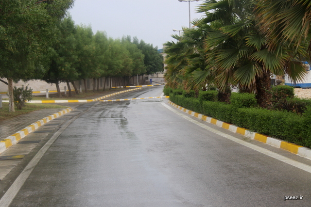 بوی  <strong class='sis-keyword'>باران</strong> 5