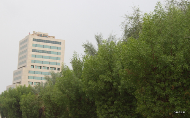 بوی  <strong class='sis-keyword'>باران</strong> 11