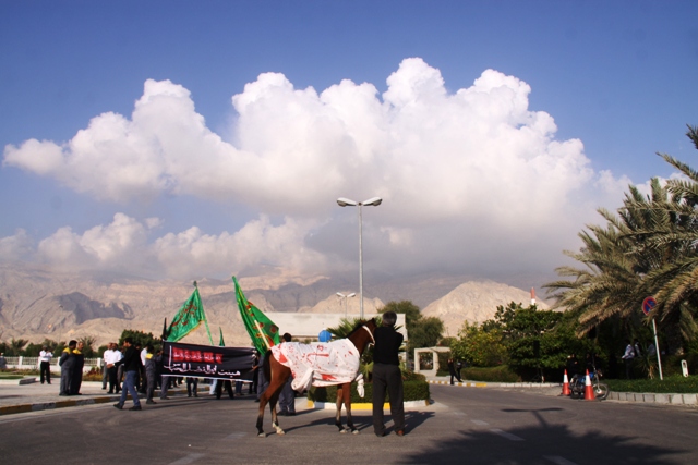 شور حسینی در  <strong class='sis-keyword'>عسلویه</strong> 20