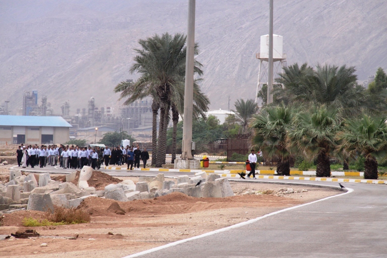 پیاده روی  6
