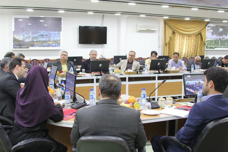 گردهمایی 11