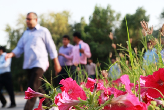 همایش 6