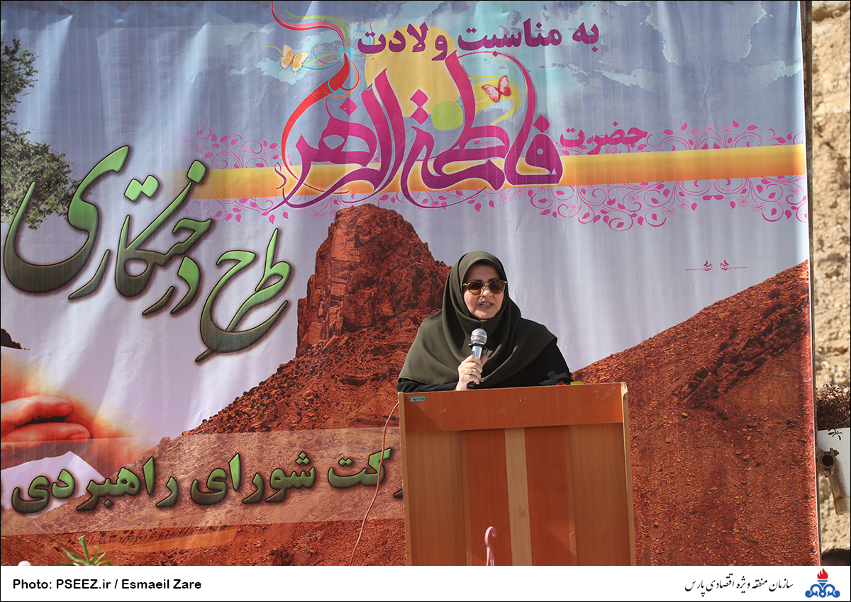 کاشت  <strong class='sis-keyword'>نهال</strong> در کوه پردیس جم 12