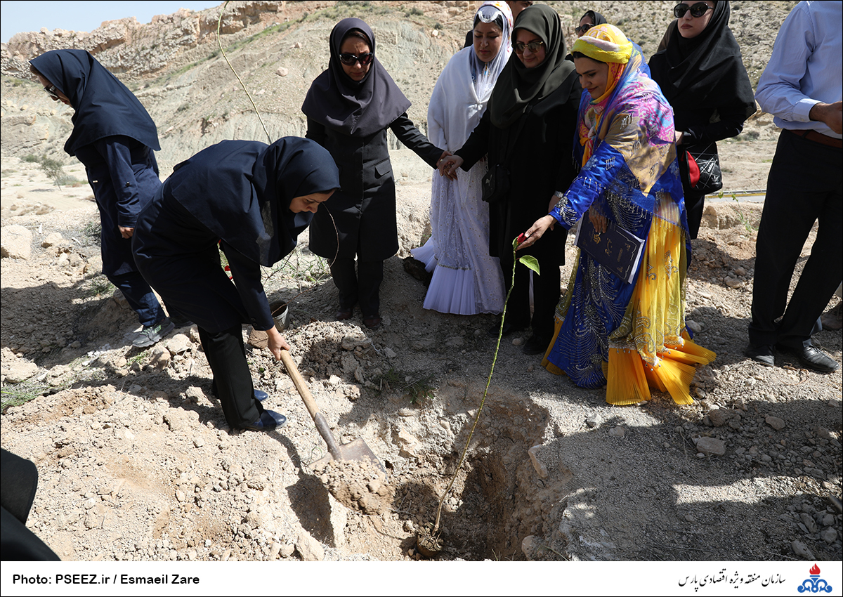 کاشت  <strong class='sis-keyword'>نهال</strong> در کوه پردیس جم 17