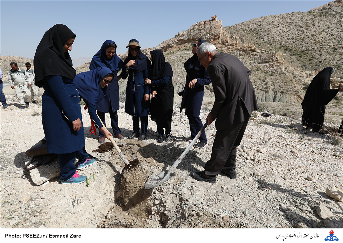 کاشت  <strong class='sis-keyword'>نهال</strong> در کوه پردیس جم 19