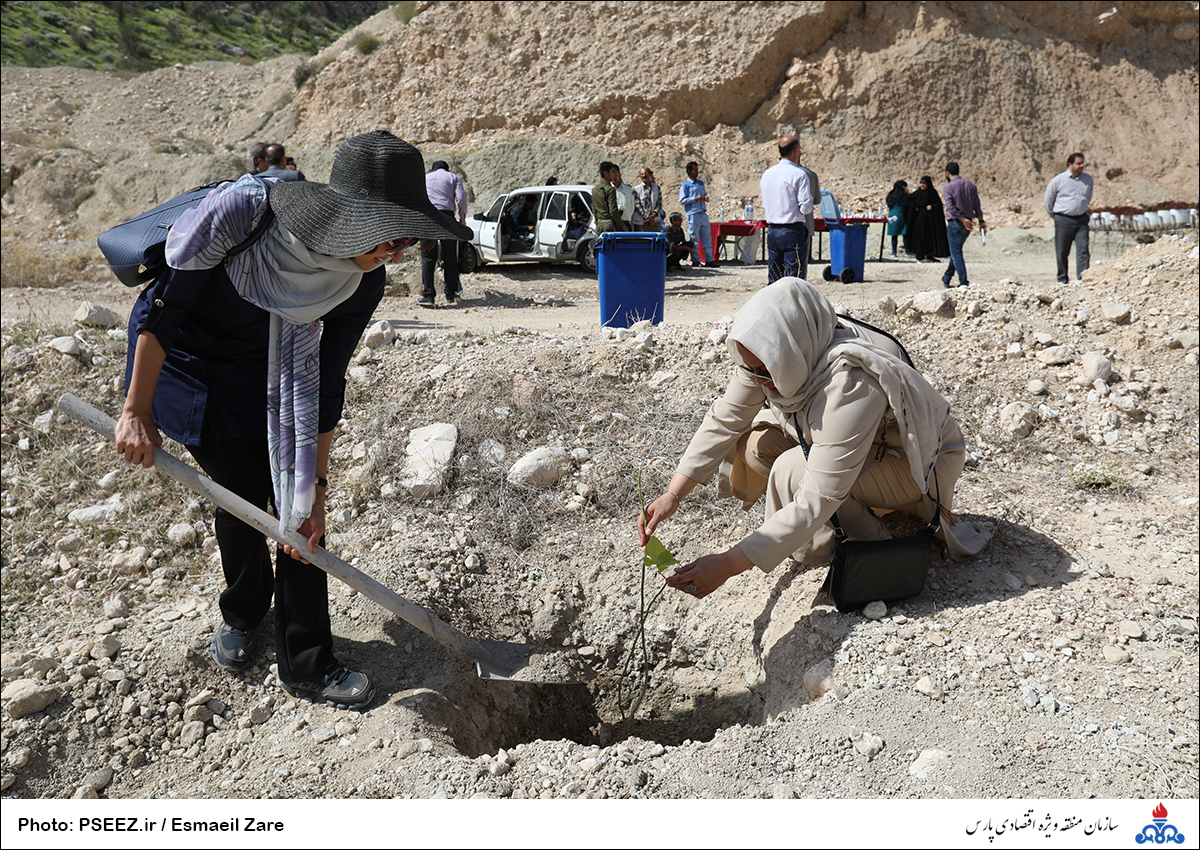 کاشت  <strong class='sis-keyword'>نهال</strong> در کوه پردیس جم 20