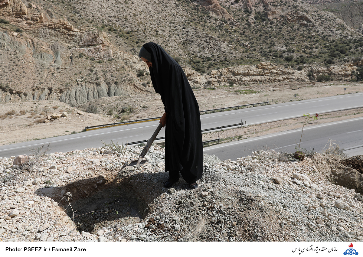 کاشت  <strong class='sis-keyword'>نهال</strong> در کوه پردیس جم 21