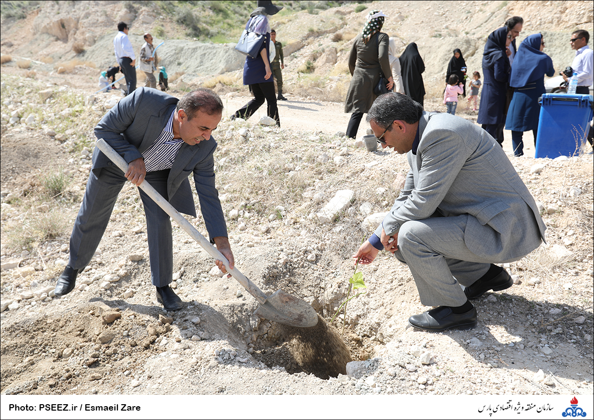 کاشت  <strong class='sis-keyword'>نهال</strong> در کوه پردیس جم 23