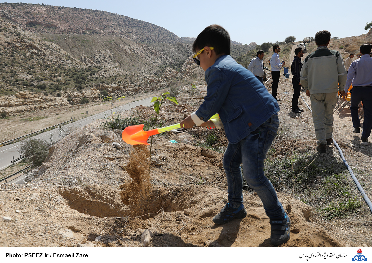 کاشت  <strong class='sis-keyword'>نهال</strong> در کوه پردیس جم 25