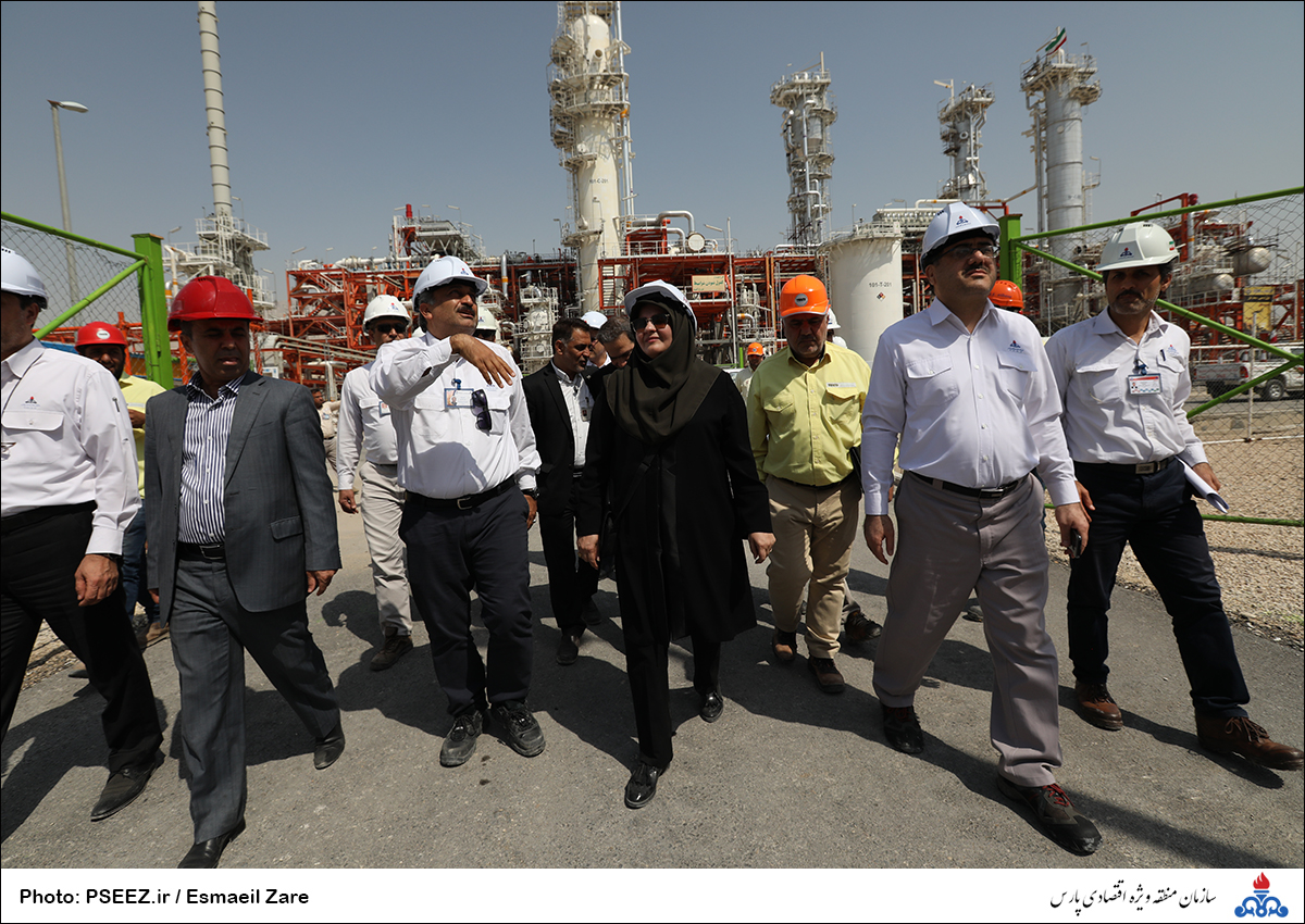 کاشت  <strong class='sis-keyword'>نهال</strong> در کوه پردیس جم 27