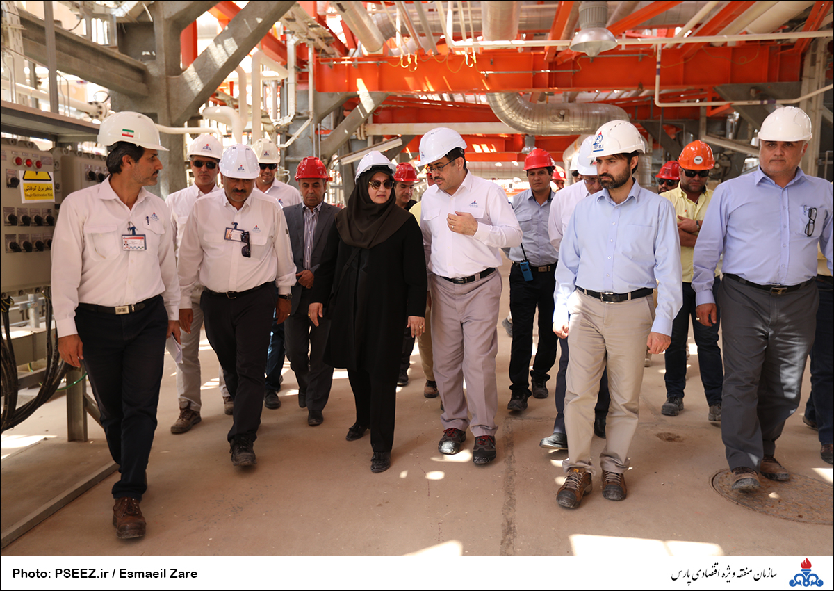 کاشت  <strong class='sis-keyword'>نهال</strong> در کوه پردیس جم 28