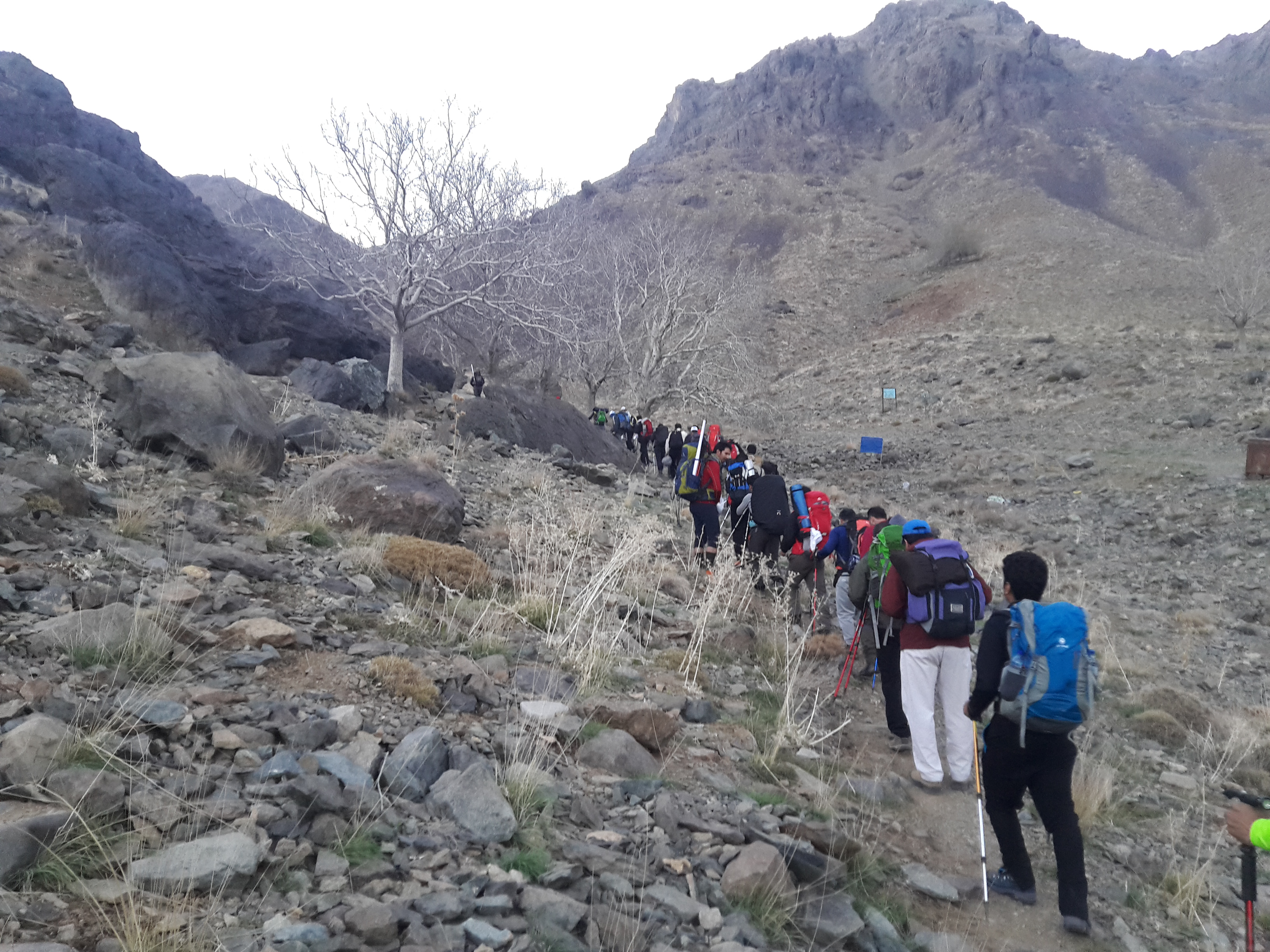 صعود به کرکس 11