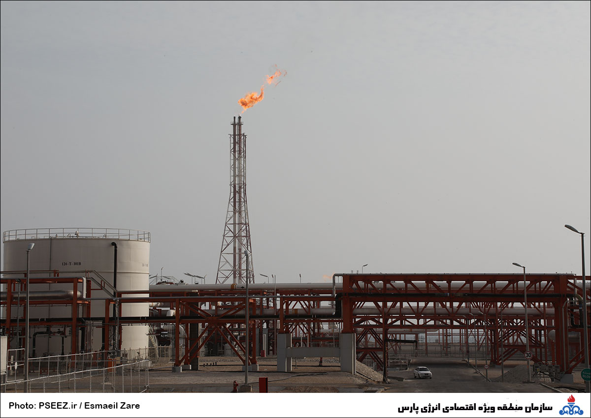 فاز سیزده 8