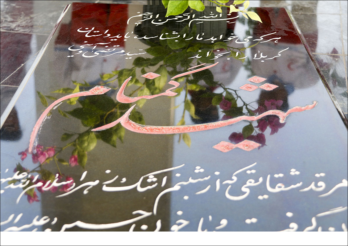 میثاق با شهدا در هفته دولت 6