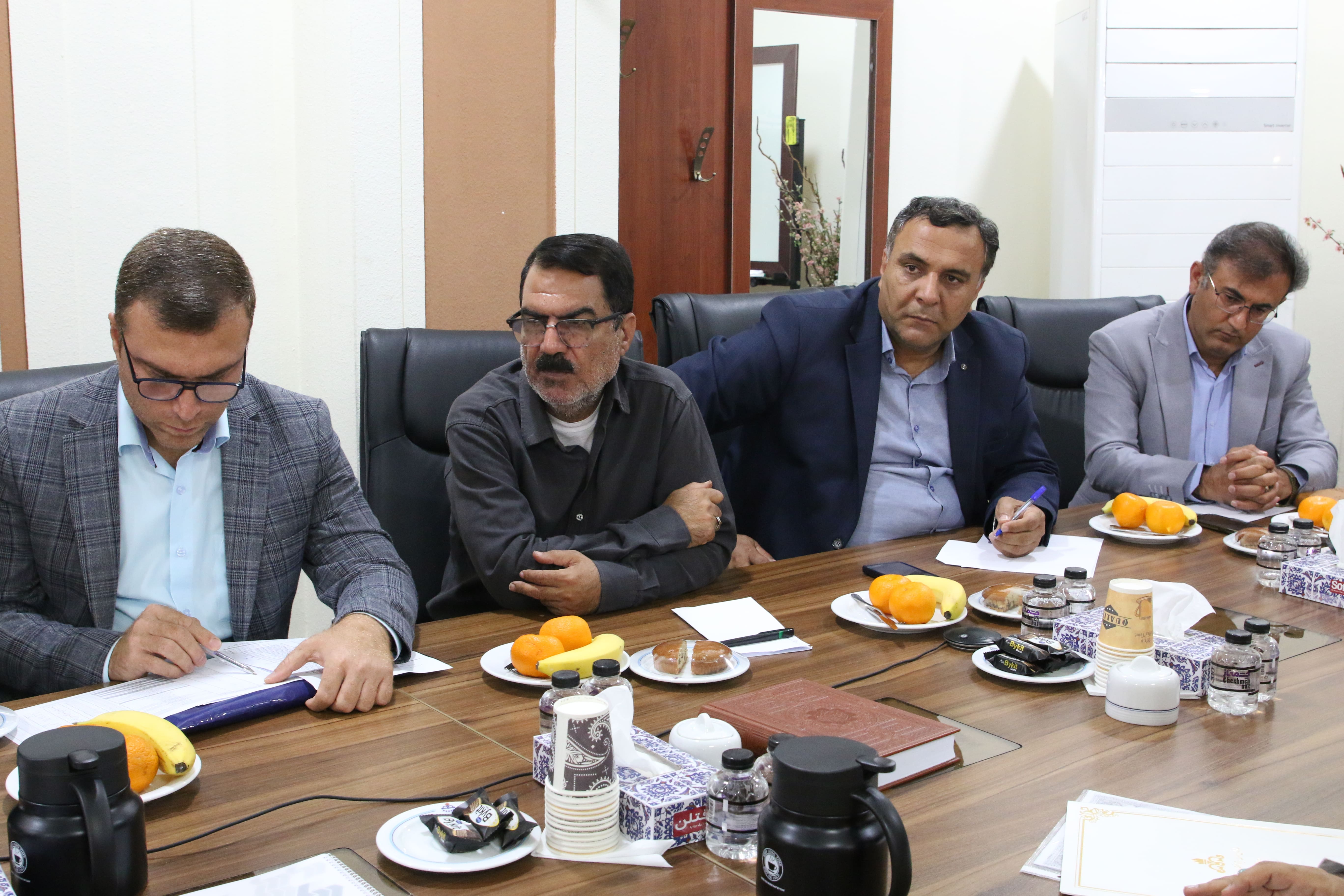 دیدار با فرمانداران 2
