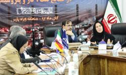 کارگاه آموزشی مشاوره فنی پاسخ زیست محیطی و سیاست هوشمندانه به تغییرات اقلیمی در صنایع نفت،گاز و پتروشیمی (ایران و نروژ)