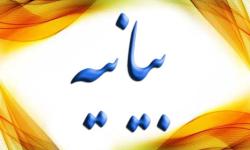 بیانیه ائمه جمعه وجماعات وشوراهای اسلامی شهرستان عسلویه درخصوص محکومیت حادثه تروریستی مرقدامام (ره)وخانه ملت