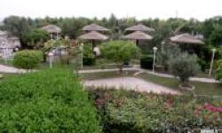 نهالستان منطقه ویژه پارس؛ تفرجگاهی در همسایگی فازهای 15و 16