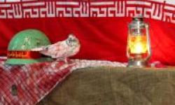 گزارش تصویری/برگزاری یادواره شهدای بیدخون با حضور آیت الله حسینی بوشهری