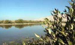 منطقه ویژه پارس آماده استقبال از میهمانان نوروزی است