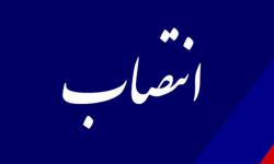 سرپرست هسته گزینش عسلویه منصوب شد