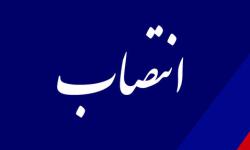 سرپرست مدیریت کار و خدمات اشتغال سازمان منطقه ویژه پارس منصوب شد