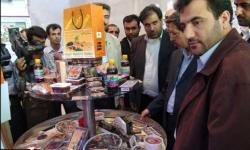 گزارش تصویری/ افتتاح نمایشگاه توانمندی های تولیدی استان بوشهر(2)