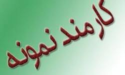 دو نفر از کارکنان سازمان منطقه ویژه پارس کارمند نمونه صنعت نفت شدند