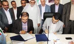 راه اندازی تیم مشترک تحقیق و توسعه منطقه ویژه پارس و دانشگاه پیام نور