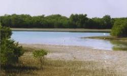 گسترش 850 هکتاری جنگل های دست کاشت در منطقه ویژه پارس