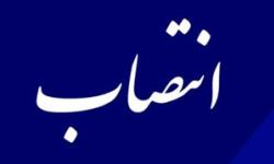 اعضای جدید هیئت مدیره سازمان منطقه ویژه پارس منصوب شدند
