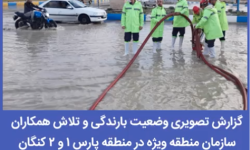 گزارش تصویری