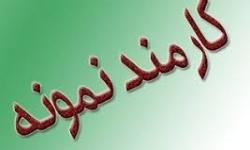 کارمندان نمونه سازمان منطقه ویژه پارس معرفی شدند