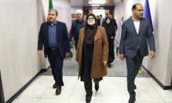 سفر سخنگوی دولت به پایتخت انرژی
