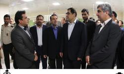 آغاز فعالیت یکی از پیشرفته&zwnj;ترین دستگاه&zwnj;های ام.آر.آی کشور در کنگان