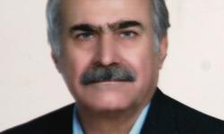 عملیات اجرایی احداث فاز دوم بندر پتروشیمی پارس آغاز شد