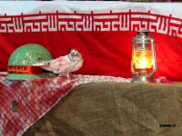 گزارش تصویری/برگزاری یادواره شهدای بیدخون با حضور آیت الله حسینی بوشهری