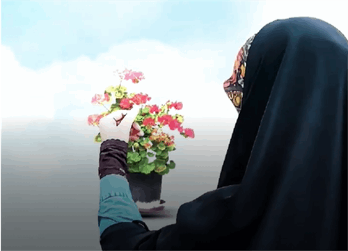 برگزاری جشنواره روزنامه دیواری با موضوع حجاب و عفاف