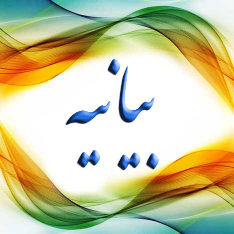 بیانیه ائمه جمعه وجماعات وشوراهای اسلامی شهرستان عسلویه درخصوص محکومیت حادثه تروریستی مرقدامام (ره)وخانه ملت